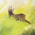 Bock in der Wiese