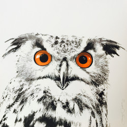 vögel